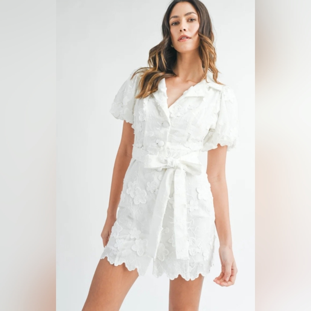 Mable Anthropologie May Textured Button Down Mini Dress